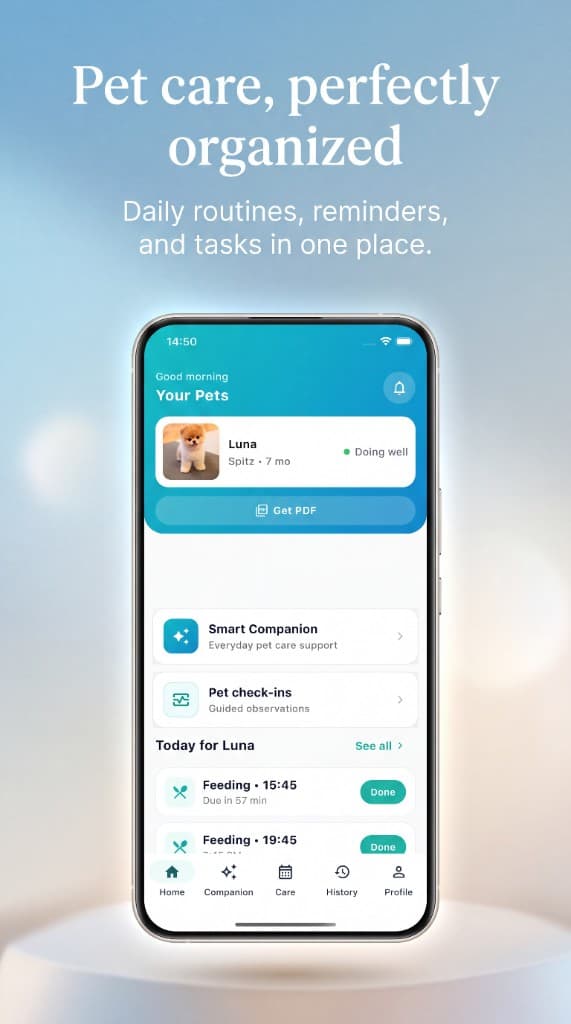 Pet Care AI — home dashboard with pet card, tasks, and quick entry to companion and check-ins